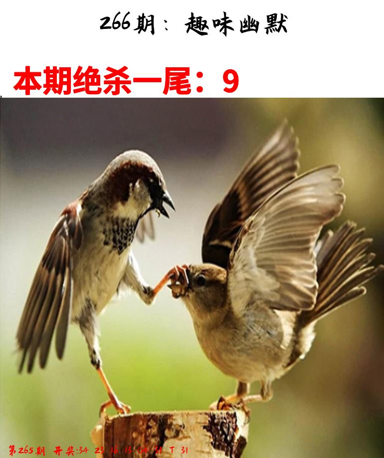 澳大利亚海外版资料图
